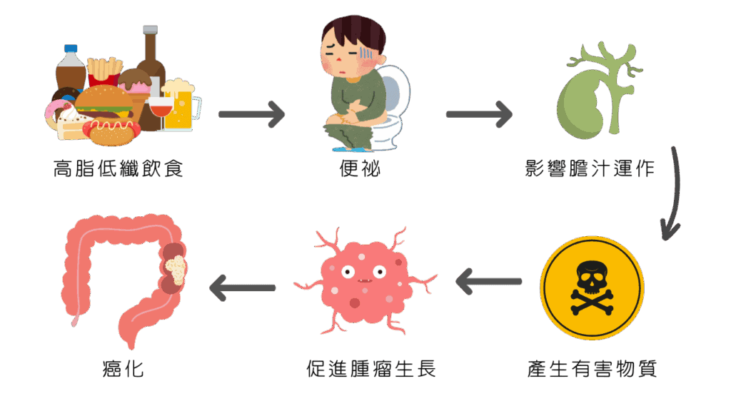 小心高脂低纖飲食造成大腸癌化，引發大腸癌前兆