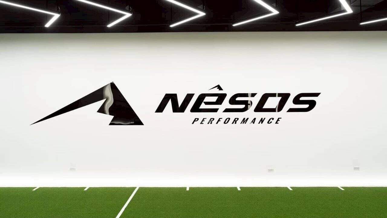 Nesos Performance Logo