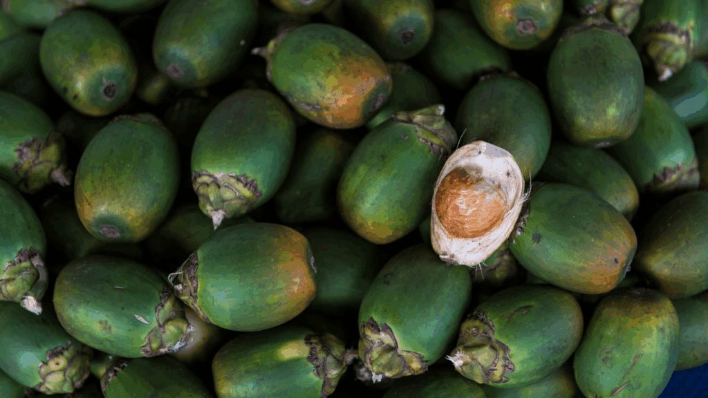 檳榔鹼、檳榔素都是一級致癌物，添加了石灰也會刺激口腔黏膜