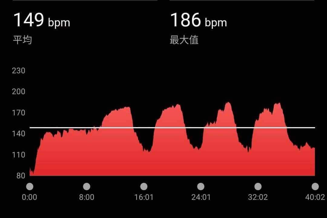 筆者的挪威 4x4 訓練之心率紀錄。